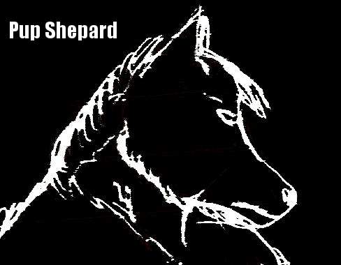 demdog's profile picture